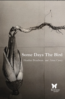 Some Days the Bird By Heather Bourbeau, Anne Casey Cover Image