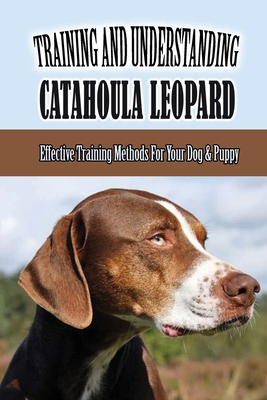 dog house training methods