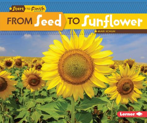 From Seed to Sunflower (Start to Finish) By Mari C. Schuh Cover Image