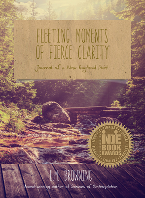Cover for Fleeting Moments of Fierce Clarity
