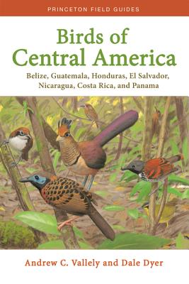 Birds of Central America: Belize, Guatemala, Honduras, El Salvador, Nicaragua, Costa Rica, and Panama (Princeton Field Guides #1) Cover Image