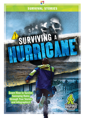 Surviving a Hurricane By Jenny Mason Cover Image