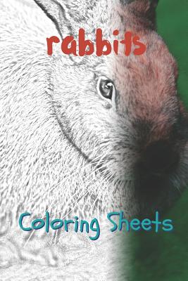 Rabbit Coloring Sheets: 30 Rabbit Drawings, Coloring Sheets Adults Relaxation, Coloring Book for Kids, for Girls, Volume 15 By Julian Smith Cover Image