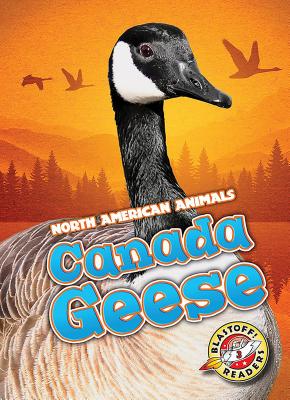Canada Geese (North American Animals) By Megan Borgert-Spaniol Cover Image