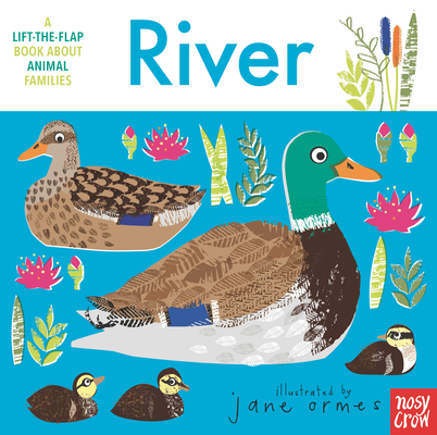 Animal Families: River By Jane Ormes (Illustrator) Cover Image