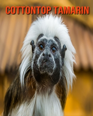 Cottontop Tamarin: Amazing Facts & Pictures By Pam Louise Cover Image