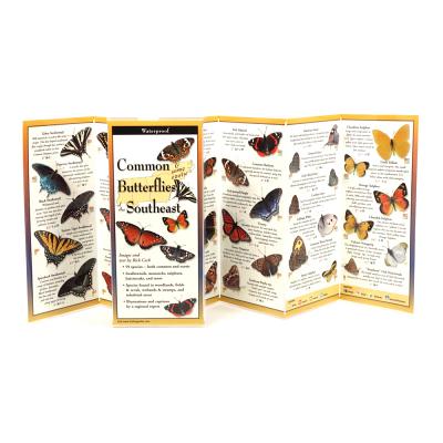 Common Butterflies of the Southeast (FoldingGuides)