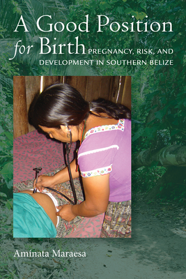 A Good Position for Birth: Pregnancy, Risk, and Development in Southern Belize Cover Image