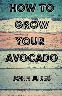How To Grow Your Avocado