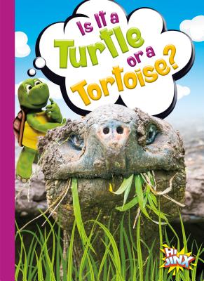 Is It a Turtle or a Tortoise? By Gail Terp Cover Image