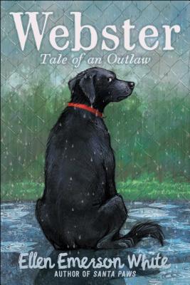Cover for Webster
