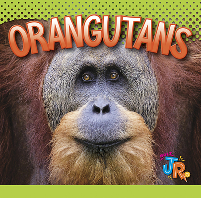 Orangutans (Awesome Animal Lives) By Marysa Storm Cover Image