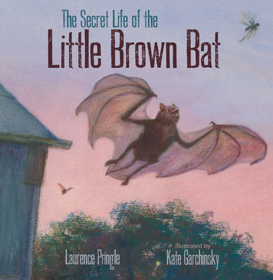 The Secret Life of the Little Brown Bat Cover Image