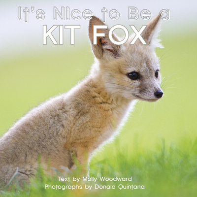It's Nice to Be a Kit Fox Cover Image
