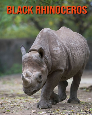 Black Rhinoceros: Amazing Photos & Fun Facts Book About Black Rhinoceros For Kids Cover Image