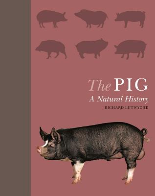 The Pig: A Natural History