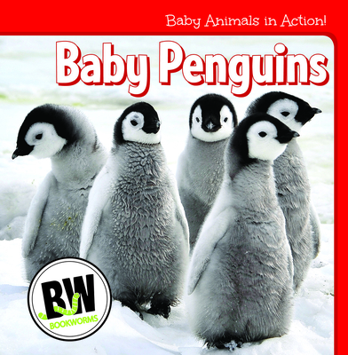 Baby Penguins Cover Image