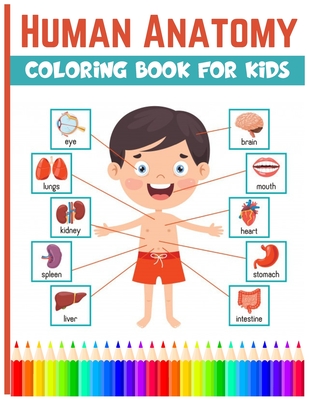 human body for kids coloring pages