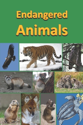 Endangered Animals Paperback Leana