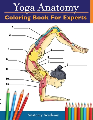 Yoga in a Nutshell Beginner Yoga Poses (Paperback) | Quail Ridge Books