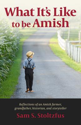 Cover for What It's Like to Be Amish