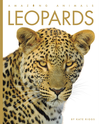 Leopards (Amazing Animals) By Kate Riggs Cover Image