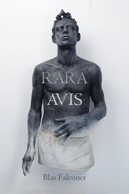 Cover for Rara Avis