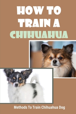 how do you raise a chihuahua puppy