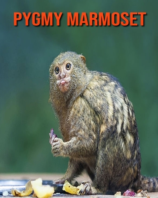 Facts About Marmosets