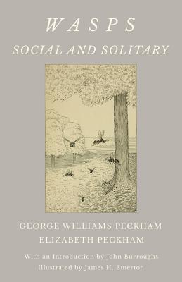 Wasps - Social and Solitary;With an Introduction by John Burroughs - Illustrated by James H. Emerton By George Williams Peckham, Elizabeth Peckham Cover Image