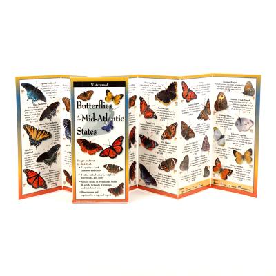 Common Butterflies of the Mid-Atlantic By Rick Cech, Rick Cech (Illustrator) Cover Image