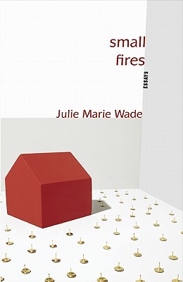 Small Fires (Linda Bruckheimer Kentucky Literature)