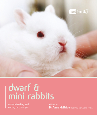 Dwarf & Mini Rabbits. (Pet Friendly)