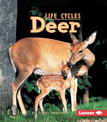 Deer (First Step Nonfiction -- Animal Life Cycles)