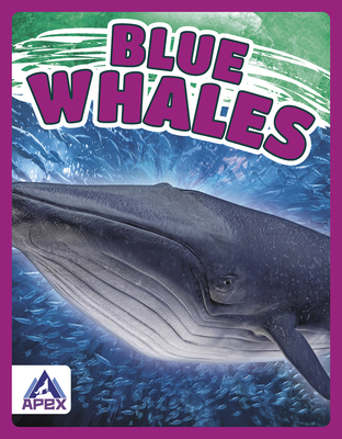 Blue Whales By Katie Chanez Cover Image