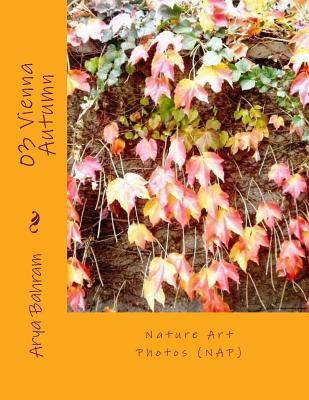 Vienna Autumn: Nature Art Photos (NAP) By Arya Bahram Cover Image