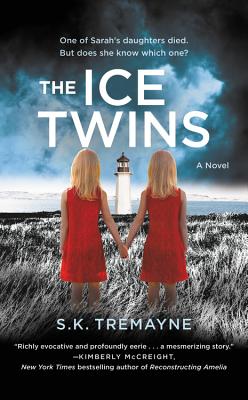 Cover for The Ice Twins