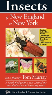 Insects of New England & New York (Naturalist) By Tom Murray Cover Image