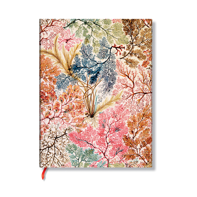 Anemone Ultra Lined Softcover Journal, 176pg, 100GSM by