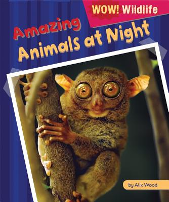 Amazing Animals at Night (Wow! Wildlife) Cover Image