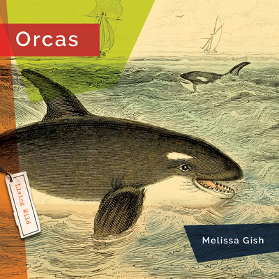 Orcas (Living Wild) Cover Image