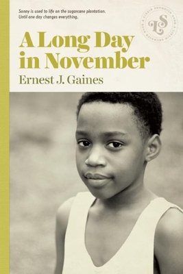A Long Day in November By Ernest J. Gaines Cover Image
