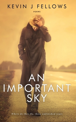 Cover for An Important Sky