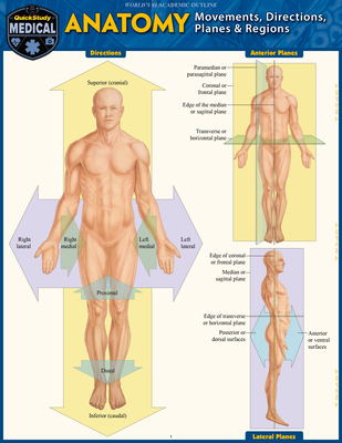 Anatomy - Directions, Planes, Movements & Regions: A Quickstudy Laminated Reference Guide Cover Image