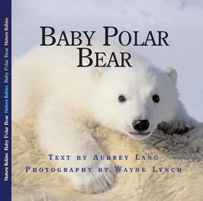 Baby Polar Bear (Nature Babies #15) Cover Image