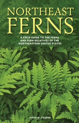 Northeast Ferns: A Field Guide to the Ferns and Fern Relatives of the Northeastern United States By Steve W. Chadde Cover Image