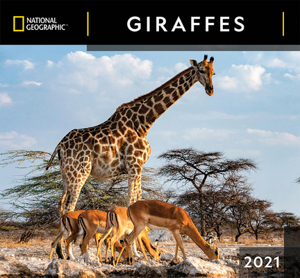 Cal 2021- National Geographic Giraffes Wall