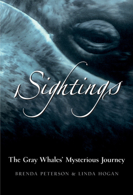 Sightings: The Gray Whales' Mysterious Journey (Adventure Press) By Brenda Peterson, Linda Hogan Cover Image