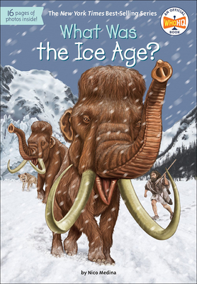 What Was the Ice Age? (What Was...?) By Nico Medina, David Groff (Illustrator) Cover Image