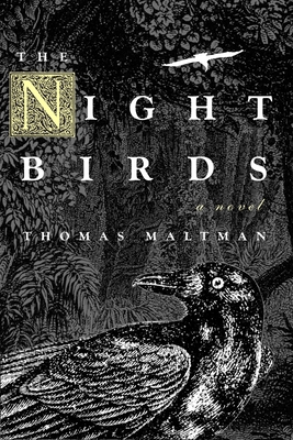 Cover Image for The Night Birds: A Novel